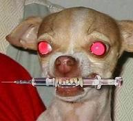 vaccin